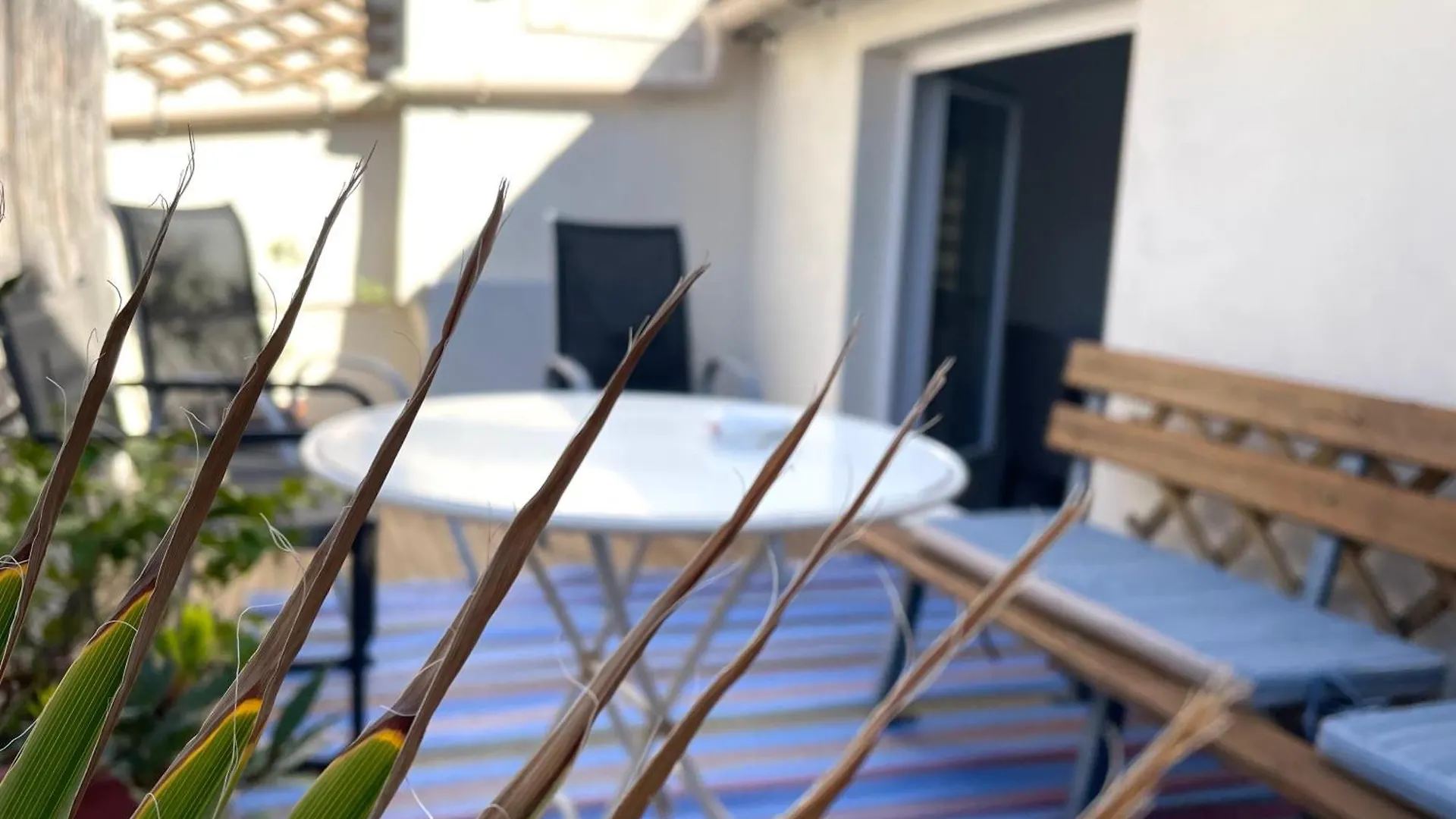 Appartement Avec Terrasse Marseille Lejlighed